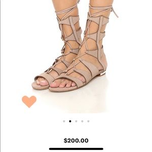 Schutz Samina Gladiator Sandals